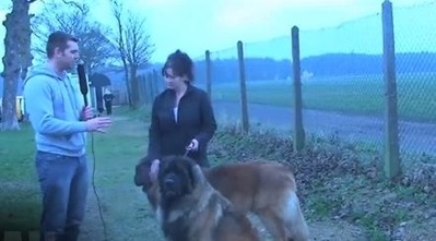 2011y03m16d_104733170