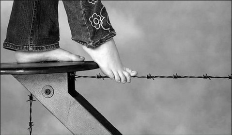 imagesbarbwire-high-wire_small