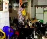 アパートで130匹のネコを飼うおばさん