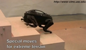 2010y05m25d_234525178