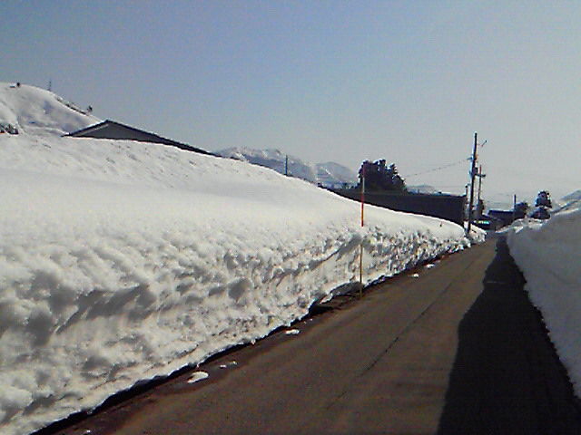 良い天気 野菜ハウス 新潟県魚沼市吉田 の 今日も新鮮