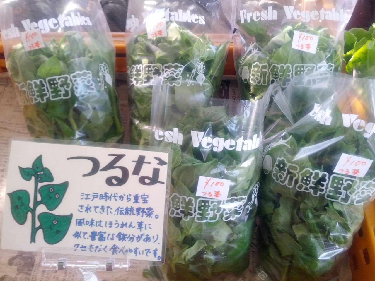 蔓菜 つるな 野菜ハウス 新潟県魚沼市吉田 の 今日も新鮮