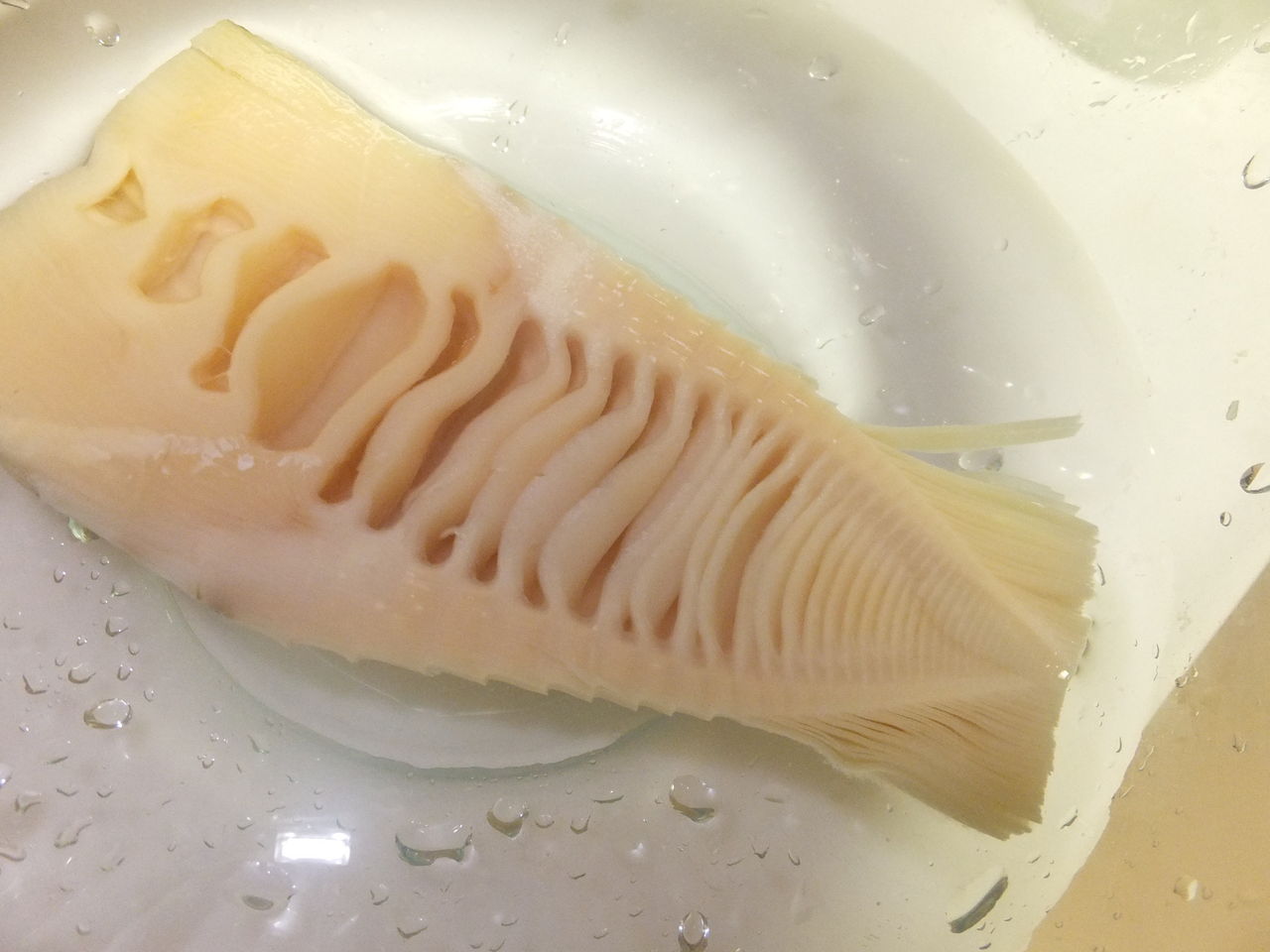 たけのこ 畑 さいとうさんちのおいしい日記