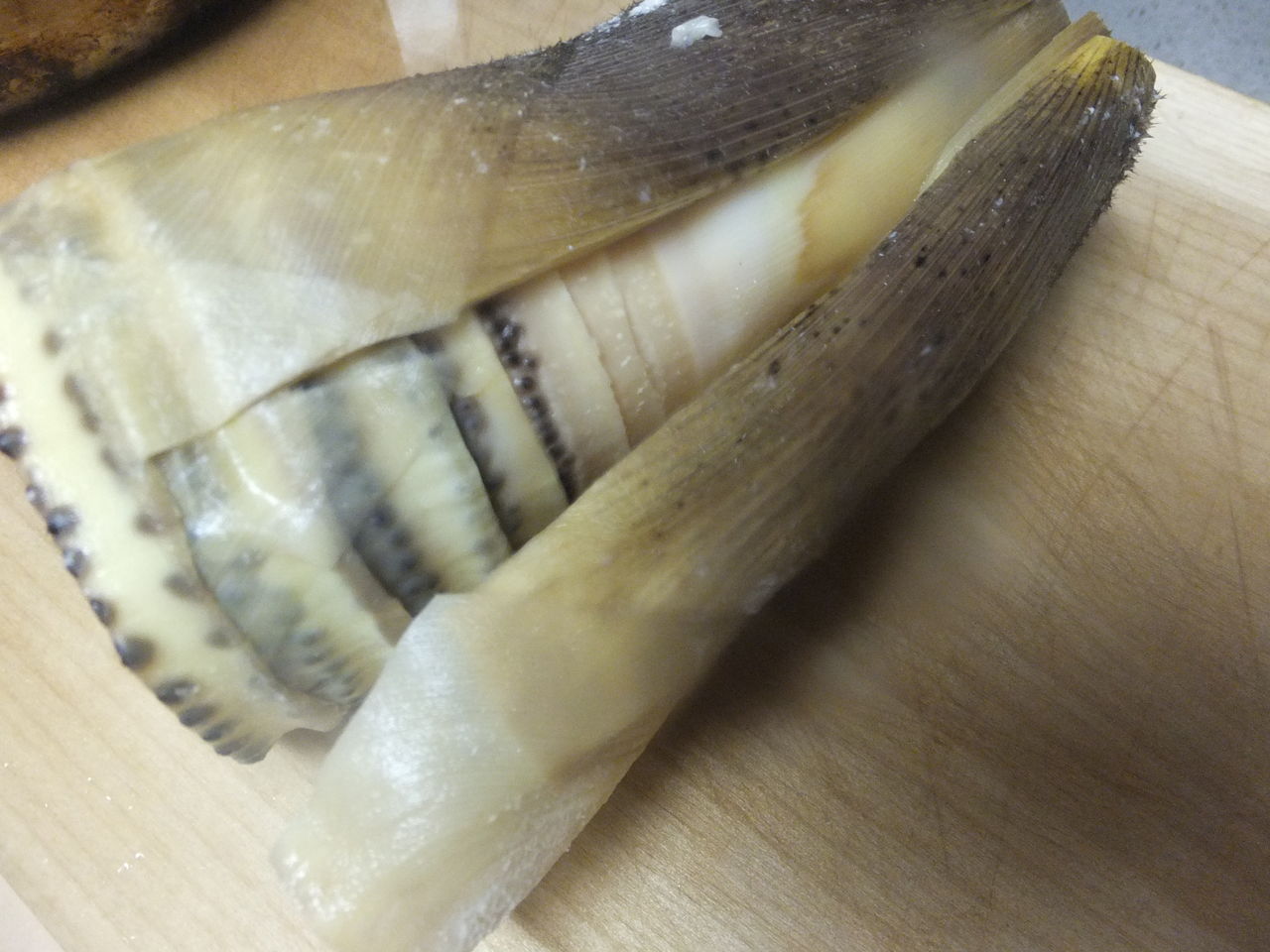 たけのこ 畑 さいとうさんちのおいしい日記