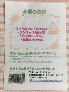 写真 2016-11-19 12 41 41 (2)
