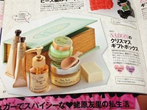 yasashii-ane12 (1)