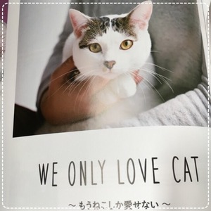 リンネル 猫