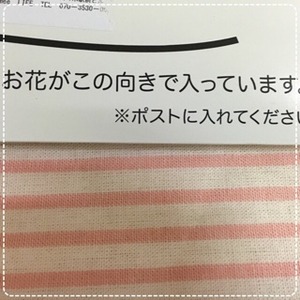 写真 2016-11-19 12 41 43 (2)