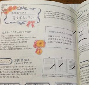 yasashii-feli (1)