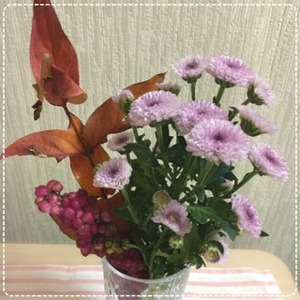 写真 2016-11-21 12 51 09 (1)