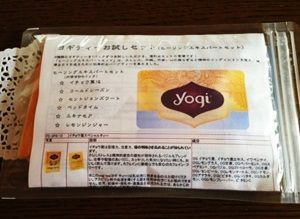 yasashii-yogi (2)