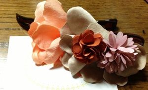 IMG_0800