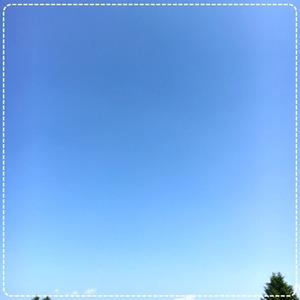 写真 2016-05-22 14 31 35