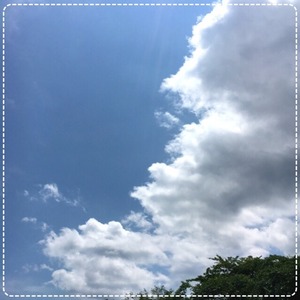 梅雨の晴れ間