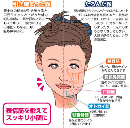 3週間表情筋の筋トレをした結果wwwwwww 新生やせ速報 3週間表情筋の筋トレをした結果wwwwwww 新生やせ速報