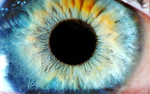 eye_1819937b