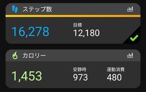 44.8kg % バイトで16,000歩