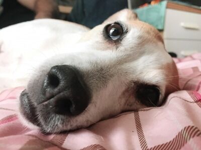 【警告】若者の『学び離れ』ガチで深刻な事態に…