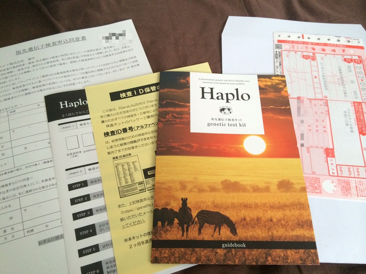 祖先の遺伝子検査をやってみたよ ライター安宿緑のブログ 기자 안숙록의 불로그