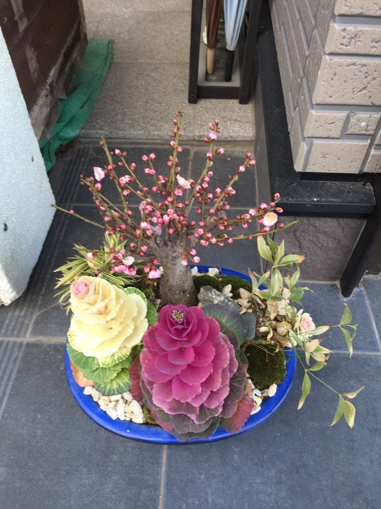 イメージ 1