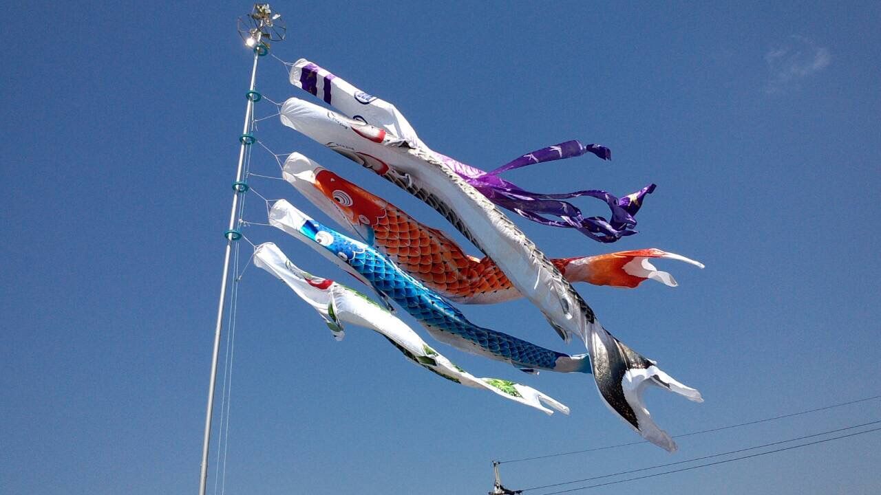 イメージ 1