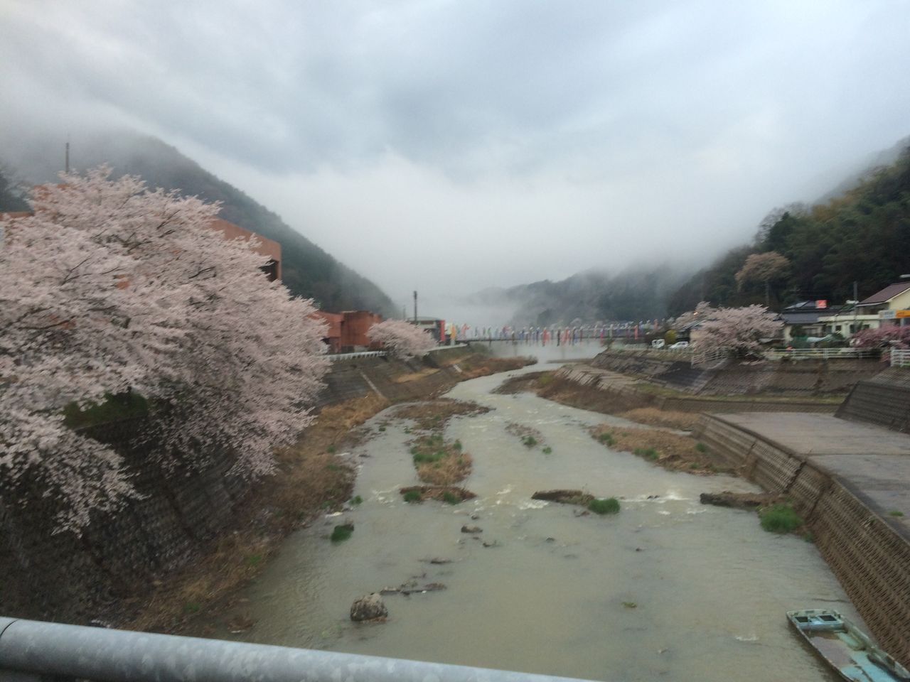 イメージ 6