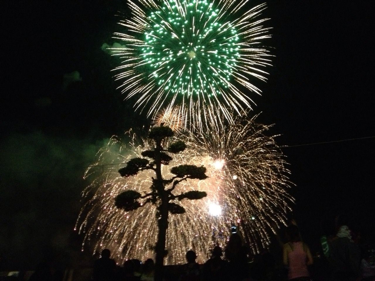 イメージ 3