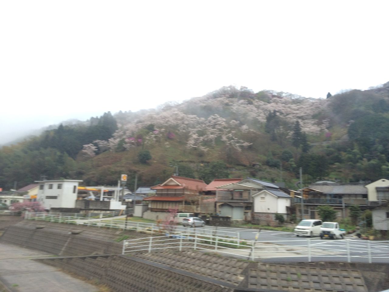 イメージ 7