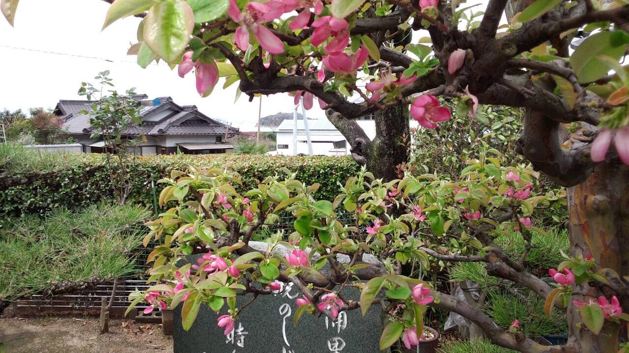 イメージ 1