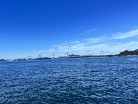 S__273244175_0