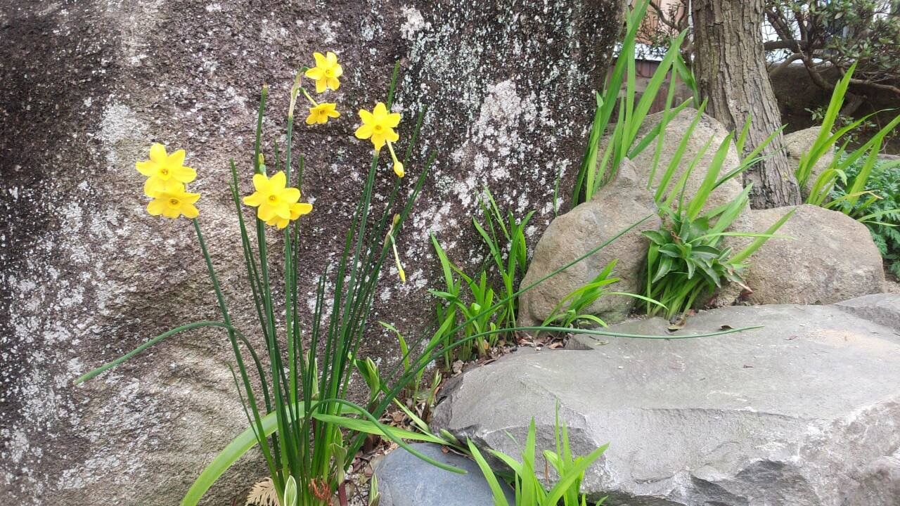 イメージ 1