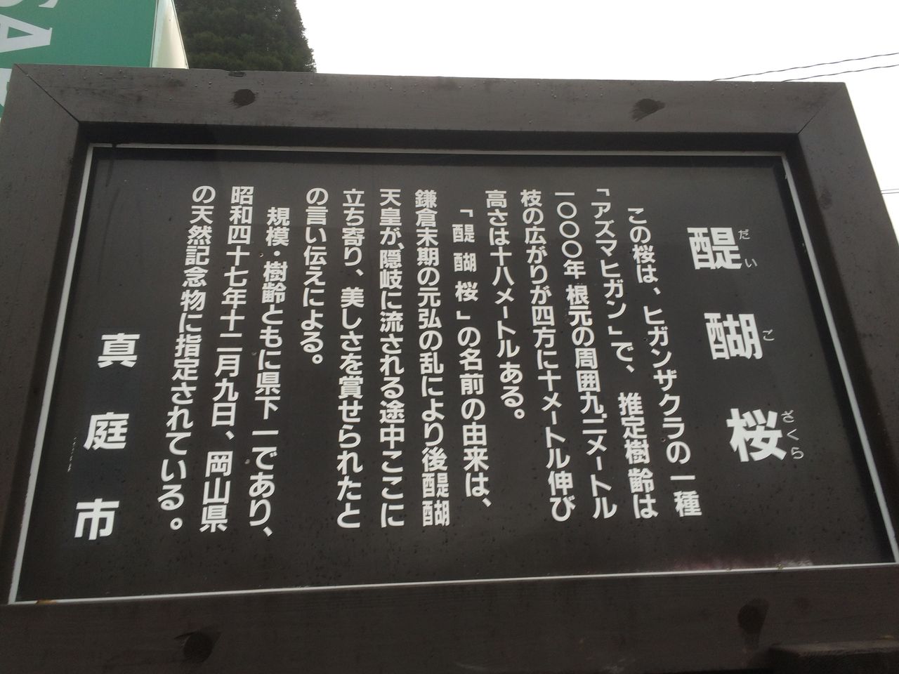 イメージ 5