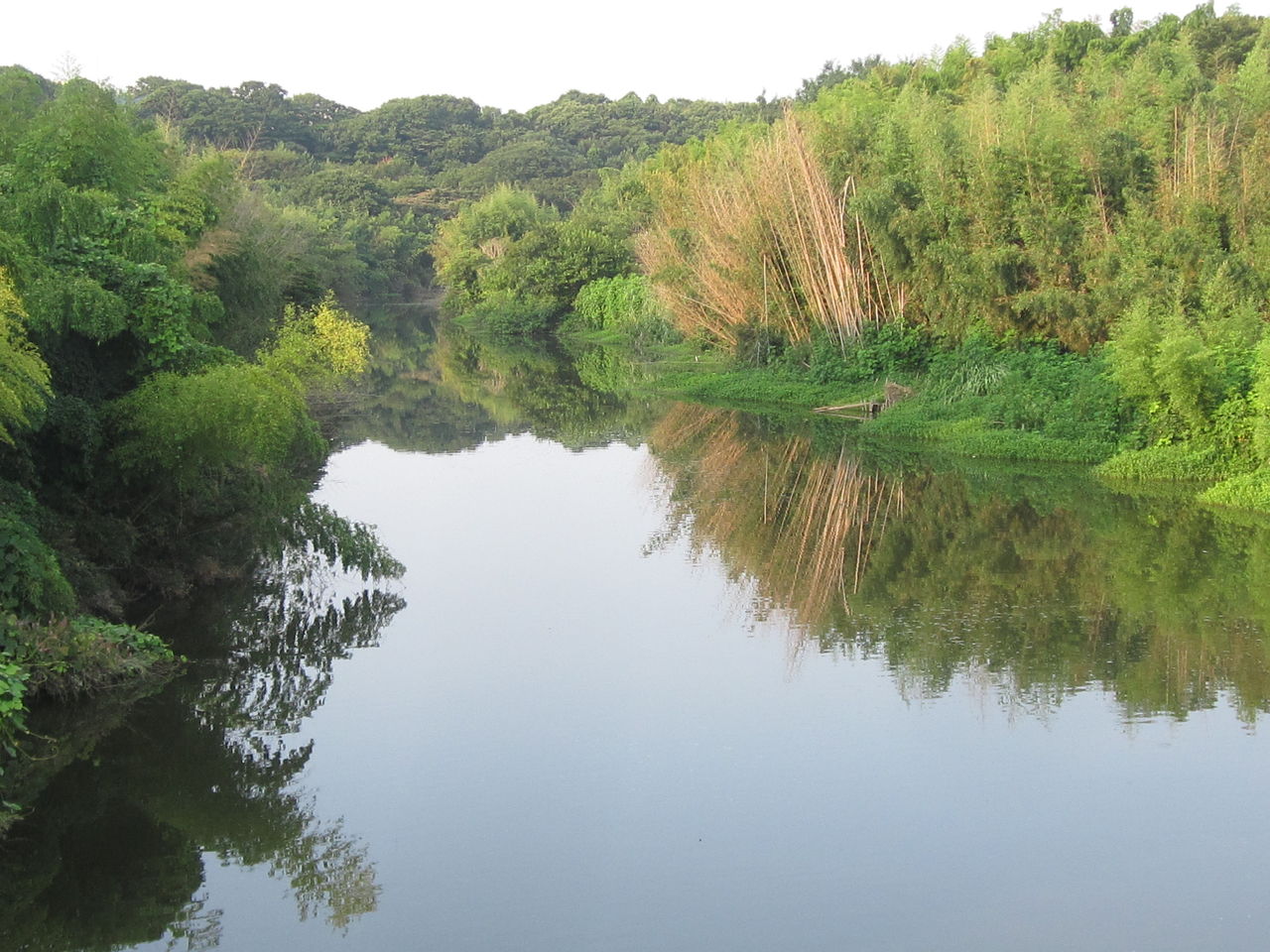 印旛沼から東京湾に抜ける因縁の多い水路川 新川と花見川 Yashinomi0867shishuuのblog