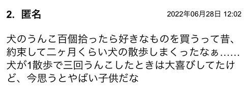 S__96002068