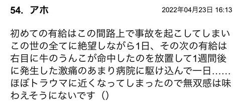 S__94347312