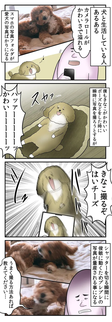 bd6dc7ed-d8e7-4e5f-939c-b287d1762e61 (1)
