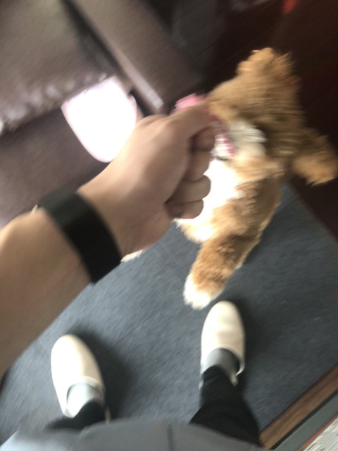 ｇｈんｊS__28237837