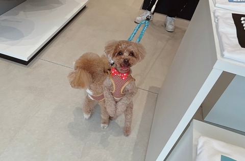 LINE_ALBUM_ライブドアいっぬ施設_241018_6