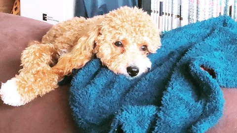 ｇれｇｒｗｇS__28237834