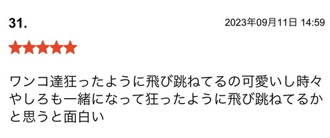 S__113901613