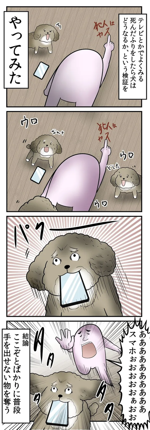 いぬのきもち13話