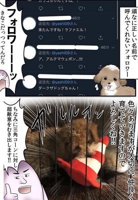 03 - コピー