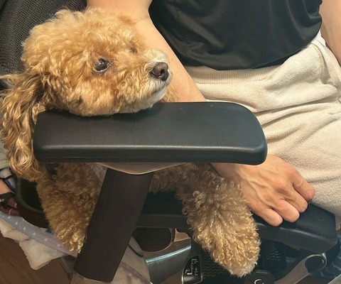 LINE_ALBUM_きなここあ🐶_250706_1