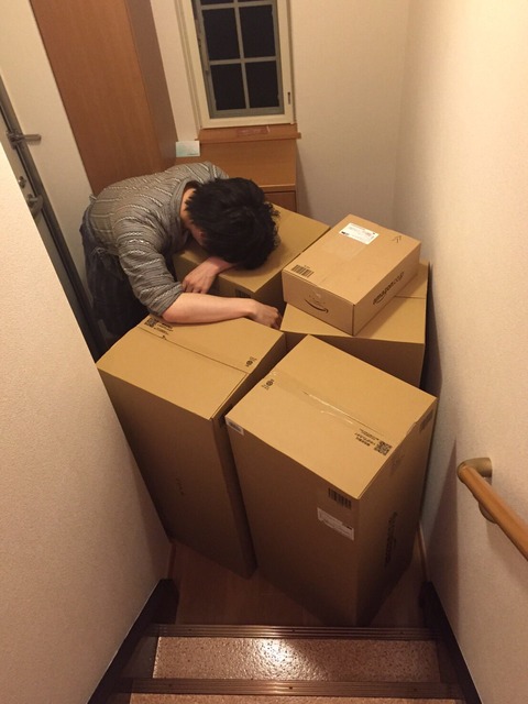 初めてコーンが届いた日