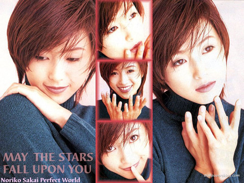 酒井法子ストリップデビュー ほんだちゃんねる