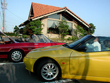 alfa