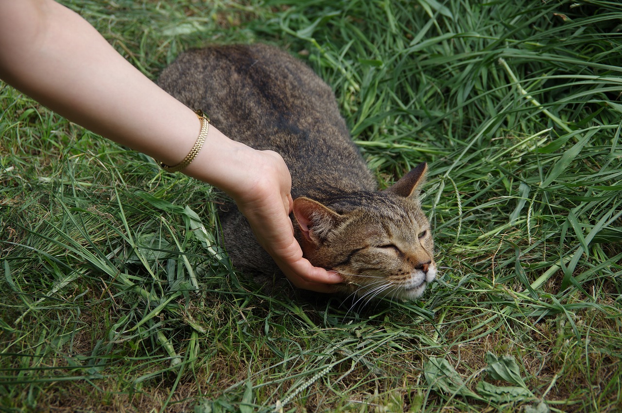 花はなの里 その１ すべての山に情熱を