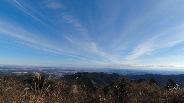 dji_mimo_20241230_104908_934_1735563510910_photo