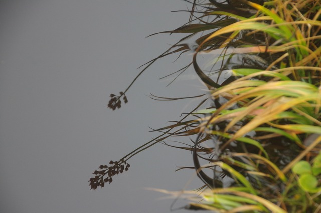 s-IMGP0543