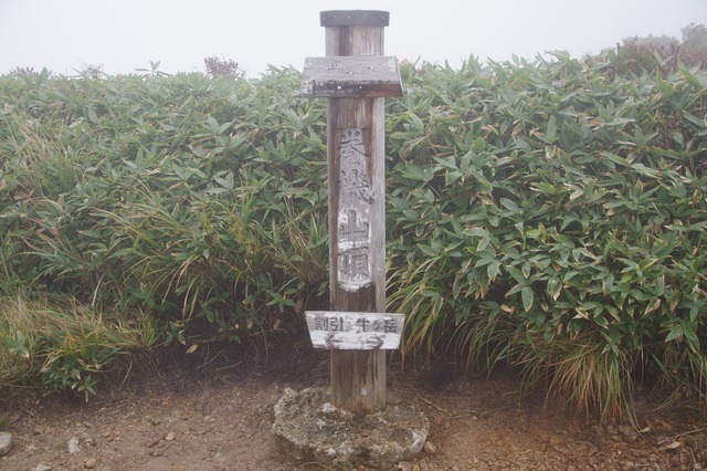 s-IMGP0544